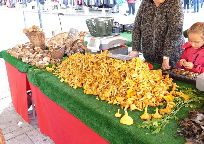 180-chanterelles